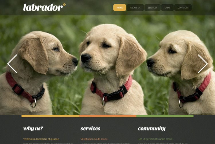 dog website
